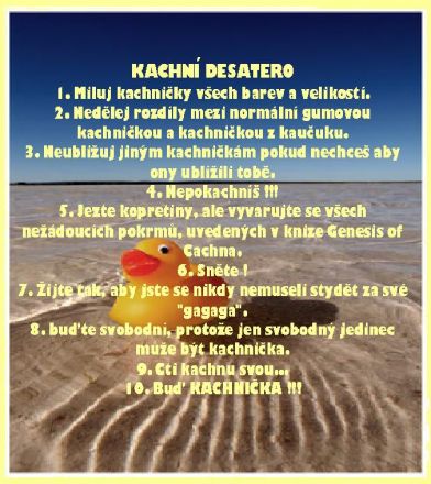 Kachní desatreo.jpg